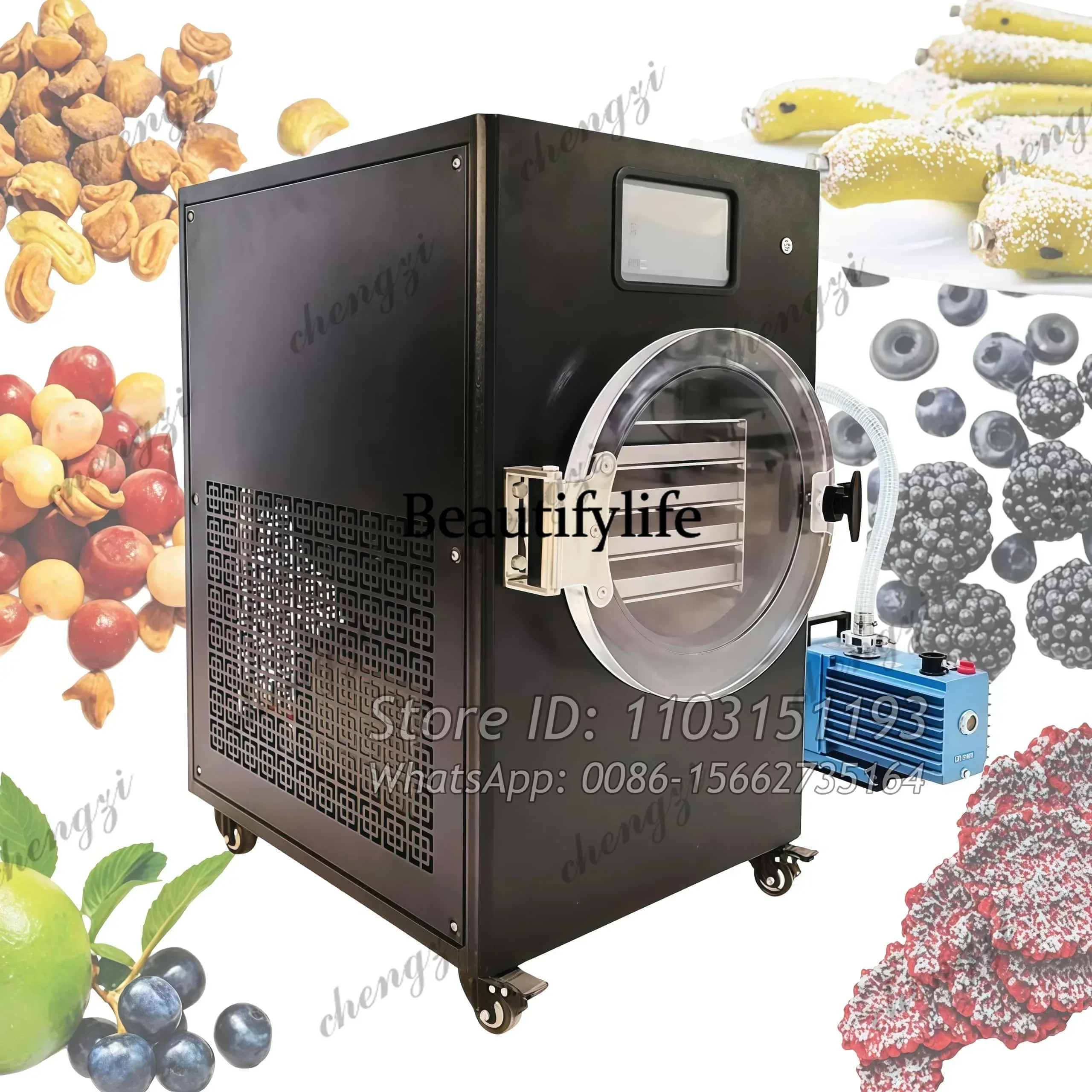 Low Consumption Freeze Dryer Lyophilizer Home Use Drying Equipment Fruits Milk Food Commercial Vacuum Pump 42kg Capacity China