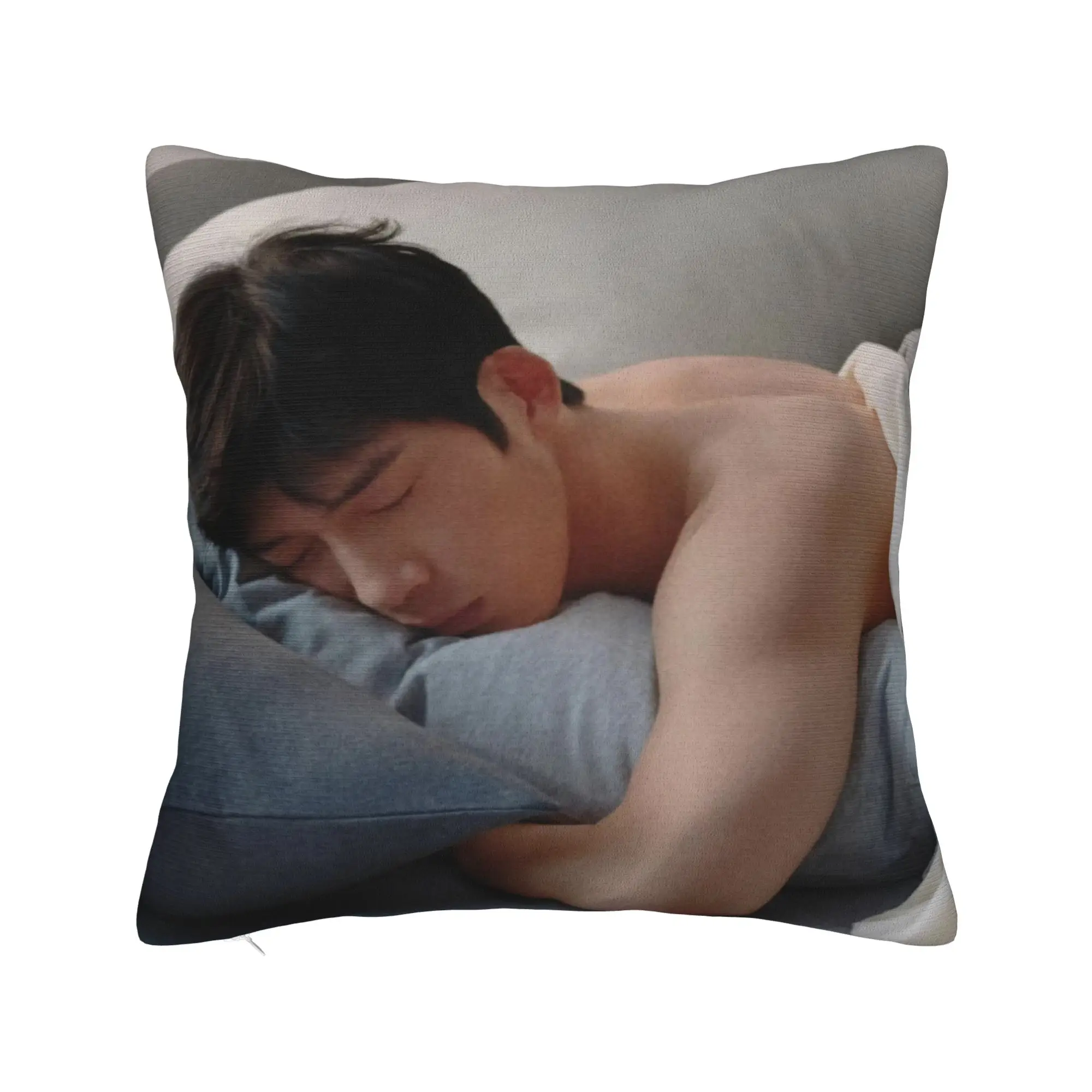 The Early Spring Luke Pillow Case  Soft Pillow Cover Kawaii Pillowcases For Living Room Chair