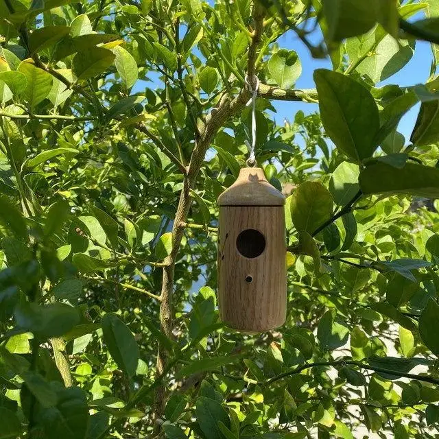 Kolibri-Haus Hängendes Vogelhaus aus Holz Handgefertigtes Nest Wildvogelhaus für Außenbereich Garten Dekoration – Detail 14