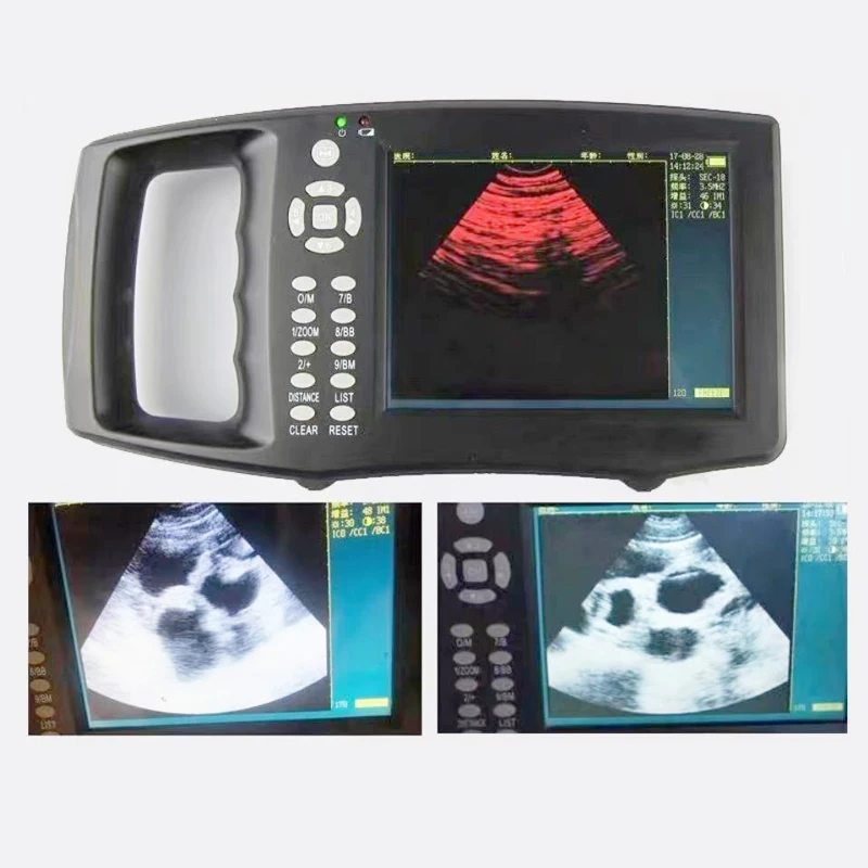 Schermo LCD da 5.6 pollici Scanner ad ultrasuoni veterinario portatile bovini mucca maiale pecora cavallo fattoria ultrasuoni macchina per test di