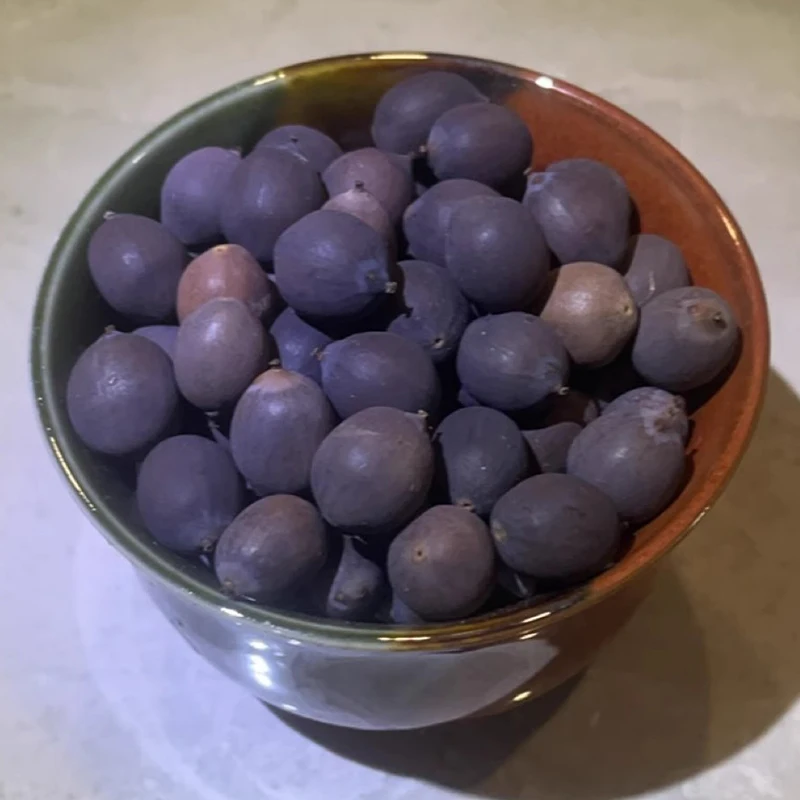 

Red White Pink Lotus Seeds Lotus Pods Nelumbo Nucifera Pond Decoration Appreciate Used for DIY Hand String Beads Material