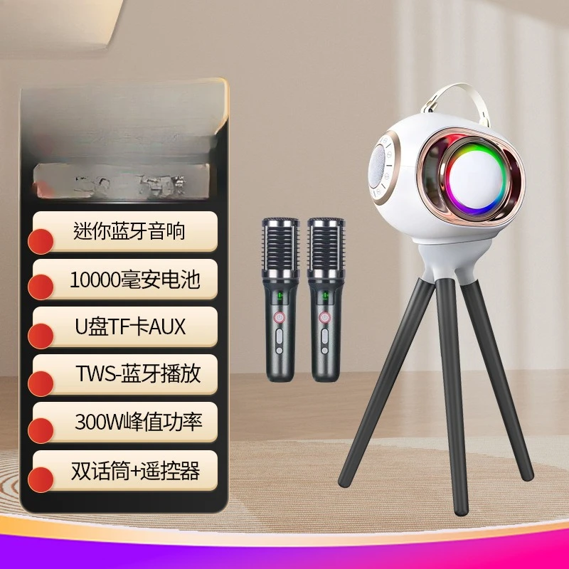 E-commerce Bluetooth Colorful Charging Karaoke Speaker Multifunctional Home Outdoor Wireless HIFI Audio