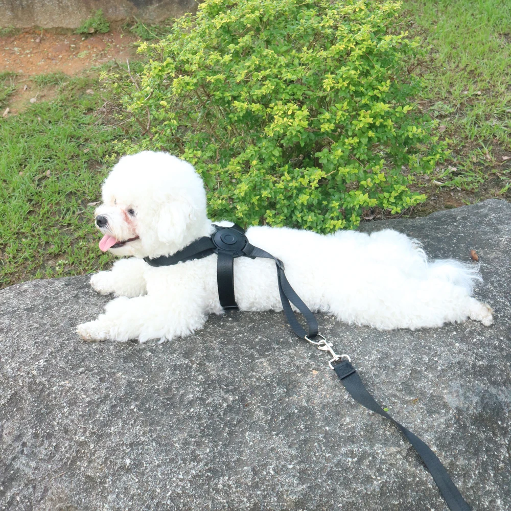 Andanti-choking Medium Pet Harness Set One Click Pop Open Dog Harness Small Dog Harness Leash Easy Use Cat Harness Accessories