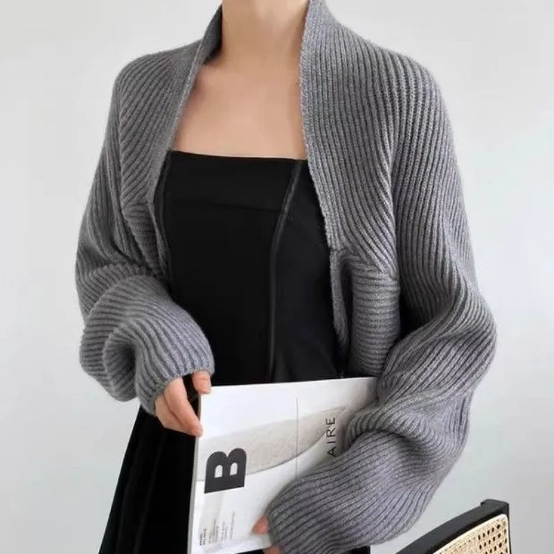 Knitted Cardigan Jacket Female Worn Over Waistcoat Suspender Skirt, Women\'s Bat Sleeve Sweater, Temperamental Short Shawl Women