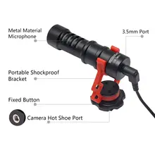 Directional Microphone #2