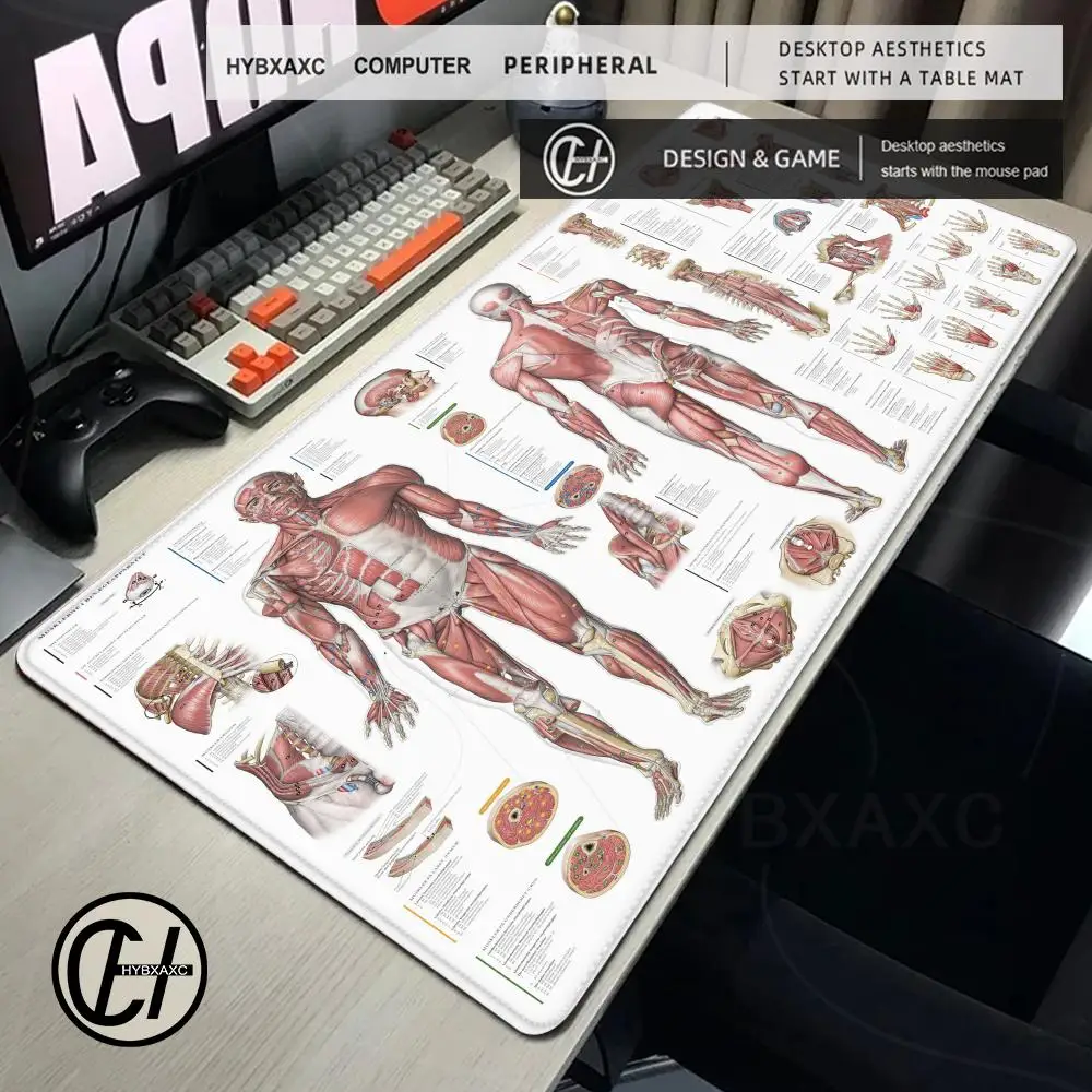 For Medical Anatomy Explanation Shortcut Keys Mouse Pad Large Keyboard Mousepad Gaming Desk Mat For Medical Researchers Non-Slip