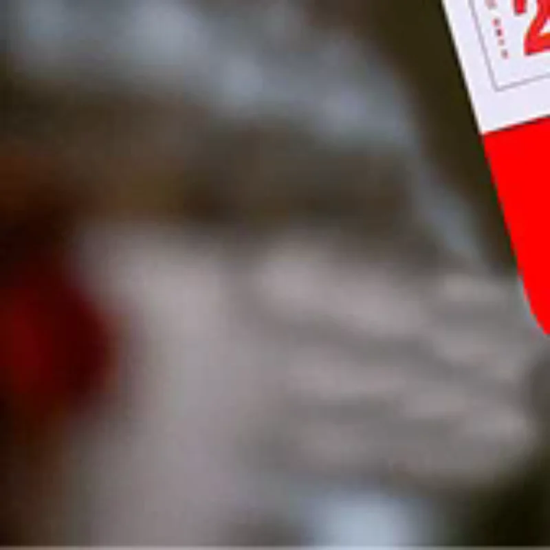 

2026 Chinese New Year Of The Horse Wall Calendar Lunar Date Bright Color Gold Foil Monthly Planner Tearable Pages Character