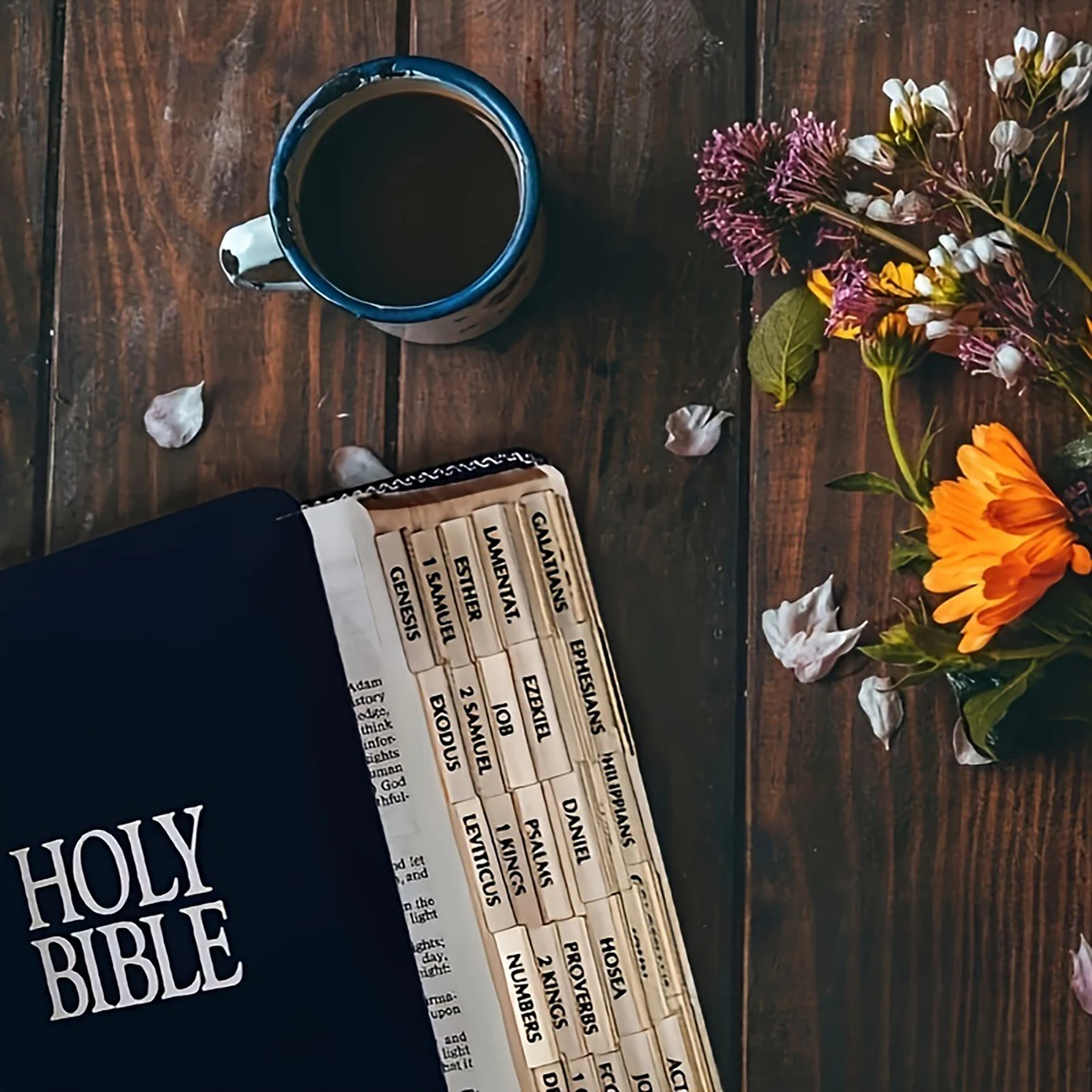 علامات تبويب الكتاب المقدس ذات الحواف الذهبية ، علامات تبويب الكتب ، علامات تبويب علامات الكتاب المقدس ، العهد القديم والجديد #6