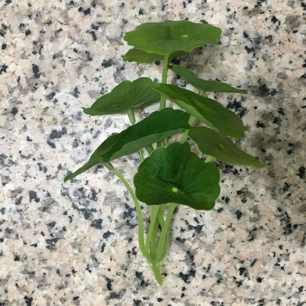 

Green Plant 9 Heads Artificial Lotus Leaf Plastic Small Simulation Money Grass Elegant Realistic Fake Plants Home Office Decor