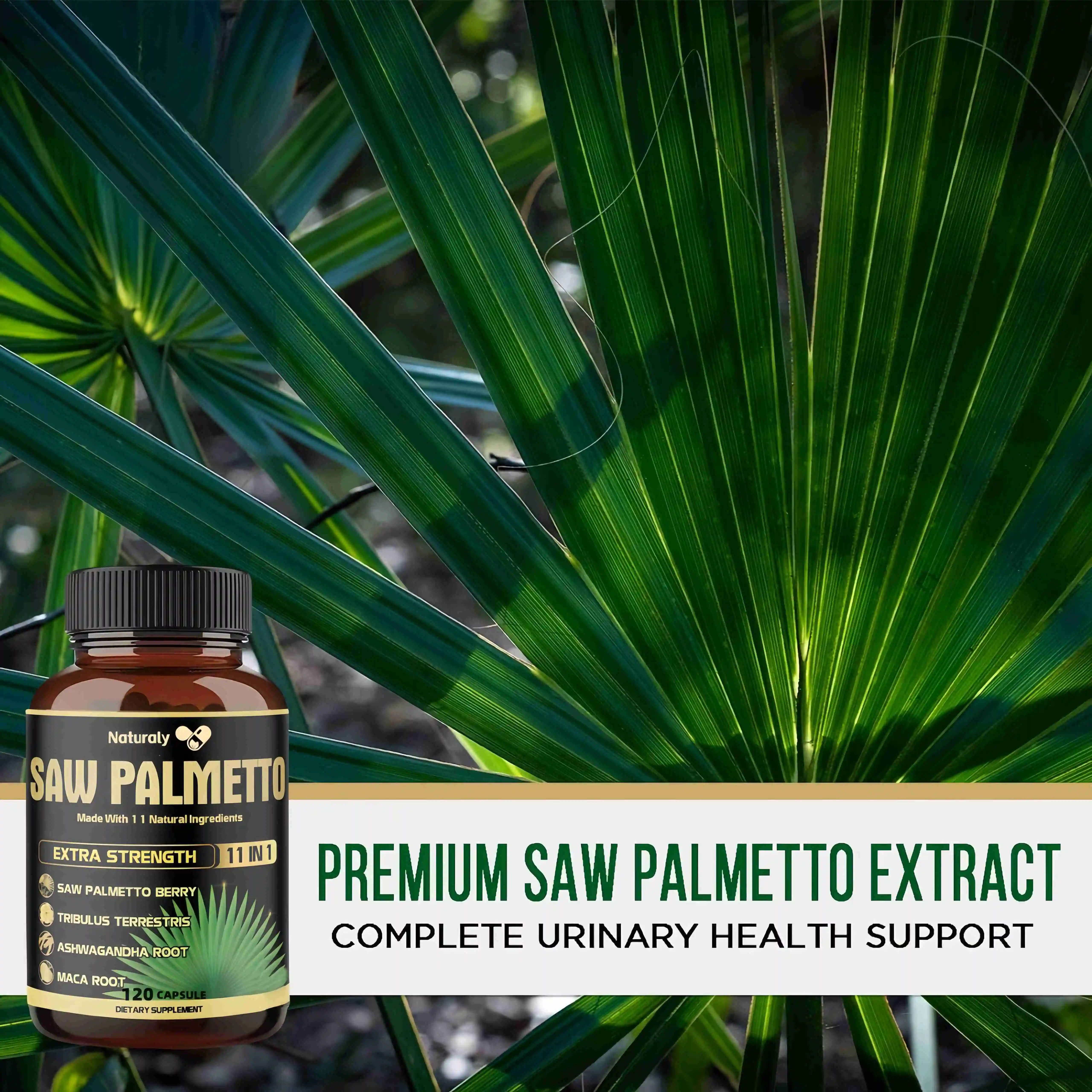 Saw Palm Extract | Prostate Health | Non GMO Gluten Free Formula