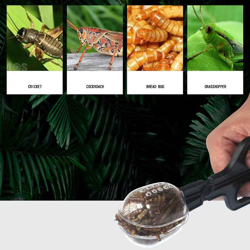 Reptile Terrarium Plastic Tongs Tweezers Pet Raising Feeding Tool Clip Children Plant Insect Biology Study Tool