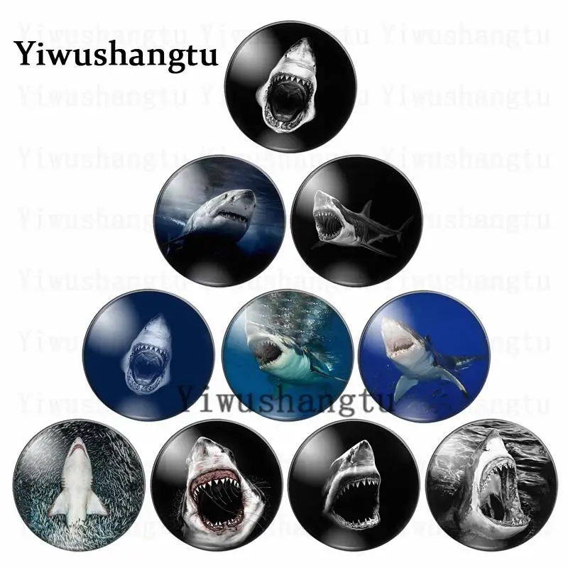 Fierce open Shark's mouth Swimming ocean animals 12mm/20mm/25mm/30mm Round photo glass cabochon demo flat back Making findings