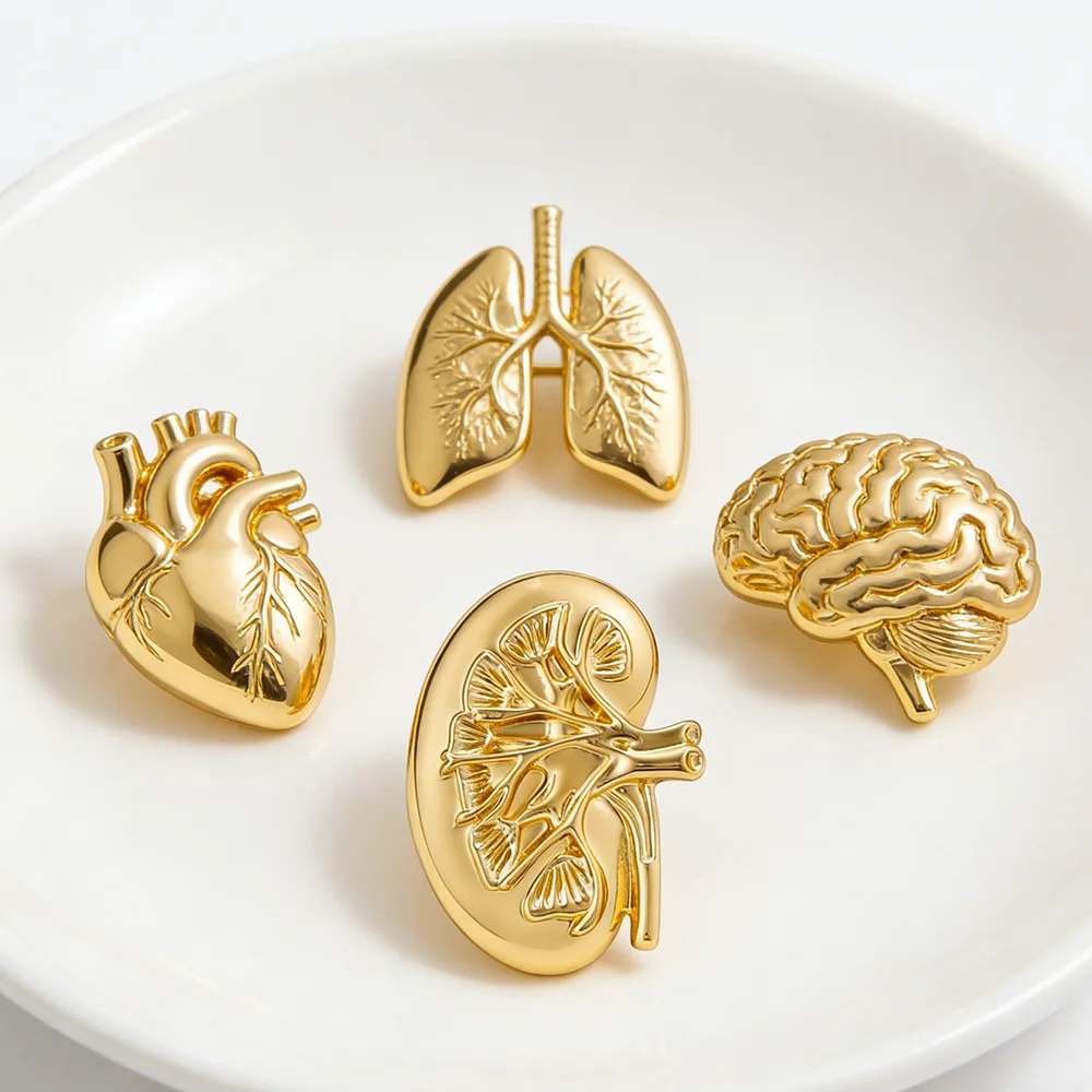 DCARZZ Kidney Shape Pin Medical Anatomy Brooch Jewelry Endocrinology Urology Jewelry Lapel Badge Collectible for Doctor Nurse
