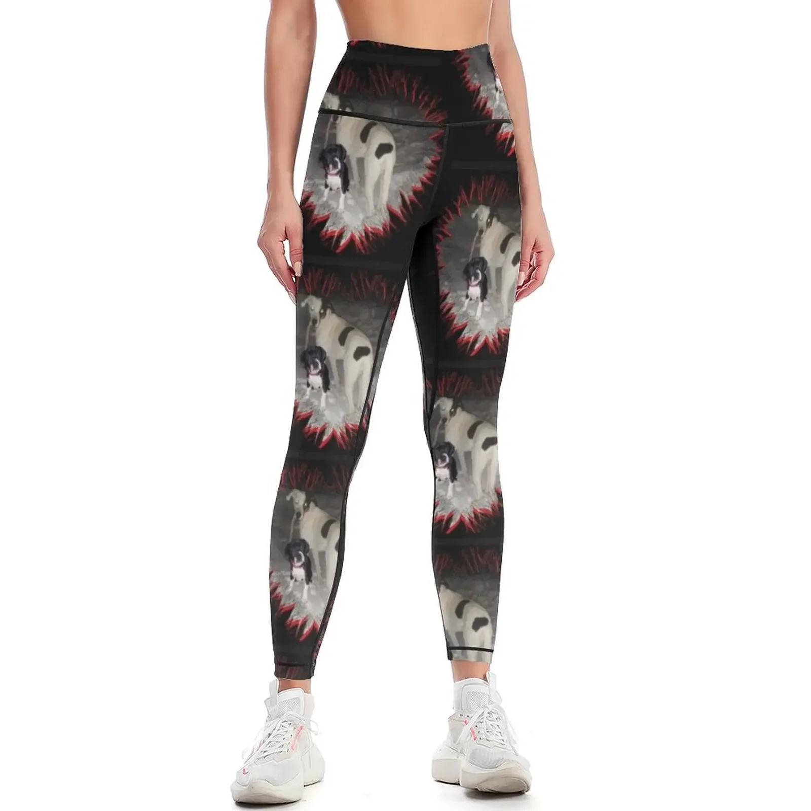 

Dogs Leggings Training pants Women's pants Womens Leggings