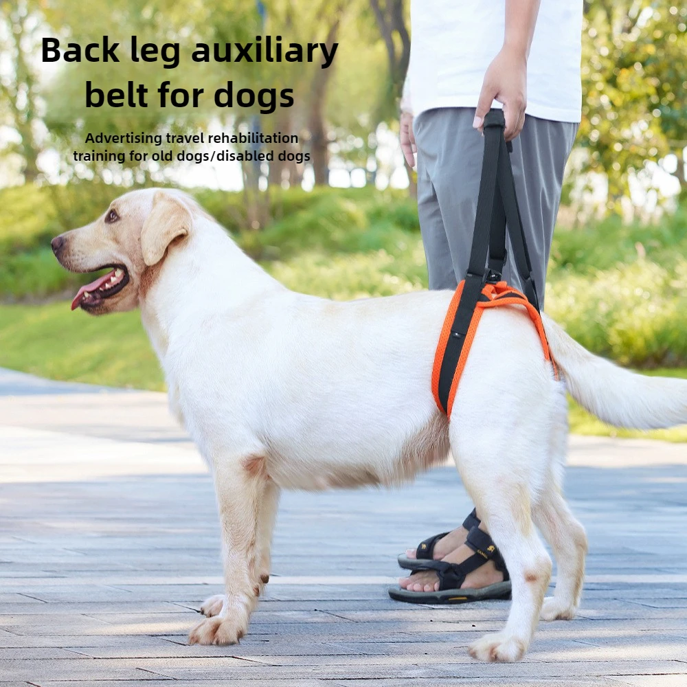 Dog Assistance Belt Elderly Disabled Dog Walking Belt Adjustable Pet Leash Pet Supplies