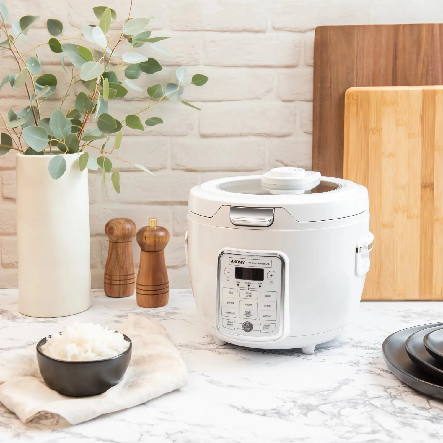 Professional 20-Cup (Cooked) / 4Qt  Digital Rice & Grain Multicooker