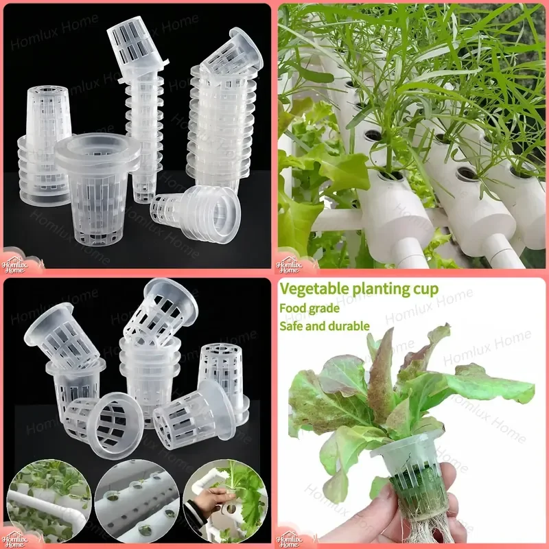 Hydroponic Veg Planter Cup for Vegetable Growing Nursery Pot Aeroponic Planting Basket Mesh Net Sponge Fixator Container