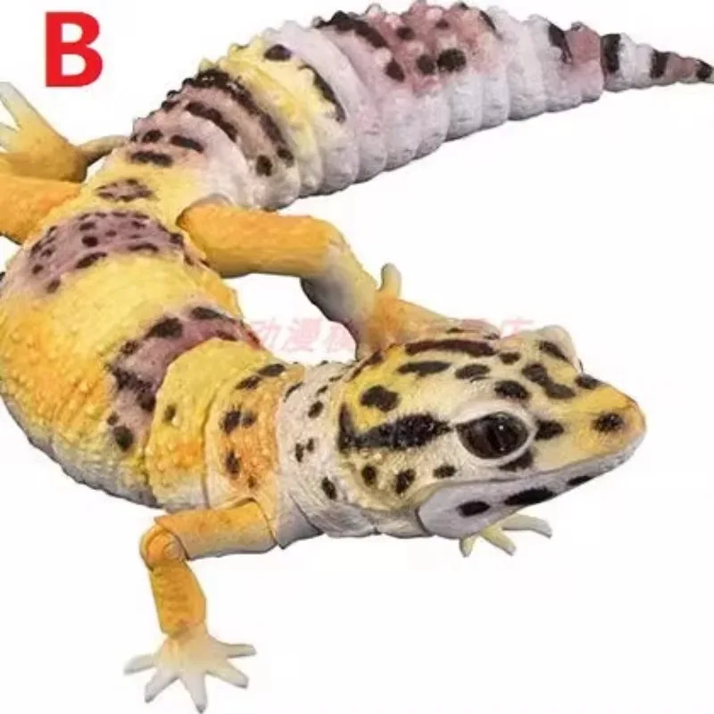 สารานุกรมชีวภาพของแท้ Bandai, รุ่นพิเศษ, จิ้งจก Armadillo, ตุ๊กแกเสือดาว, รูป, โมเดล