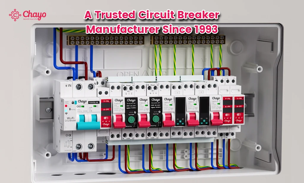 Chayo Tuya WiFi Auto Recloser 2P Type A RCD RCCB 30mA Residual Current Breaker 16/25/32/63A Overvoltage Undervoltage Protection