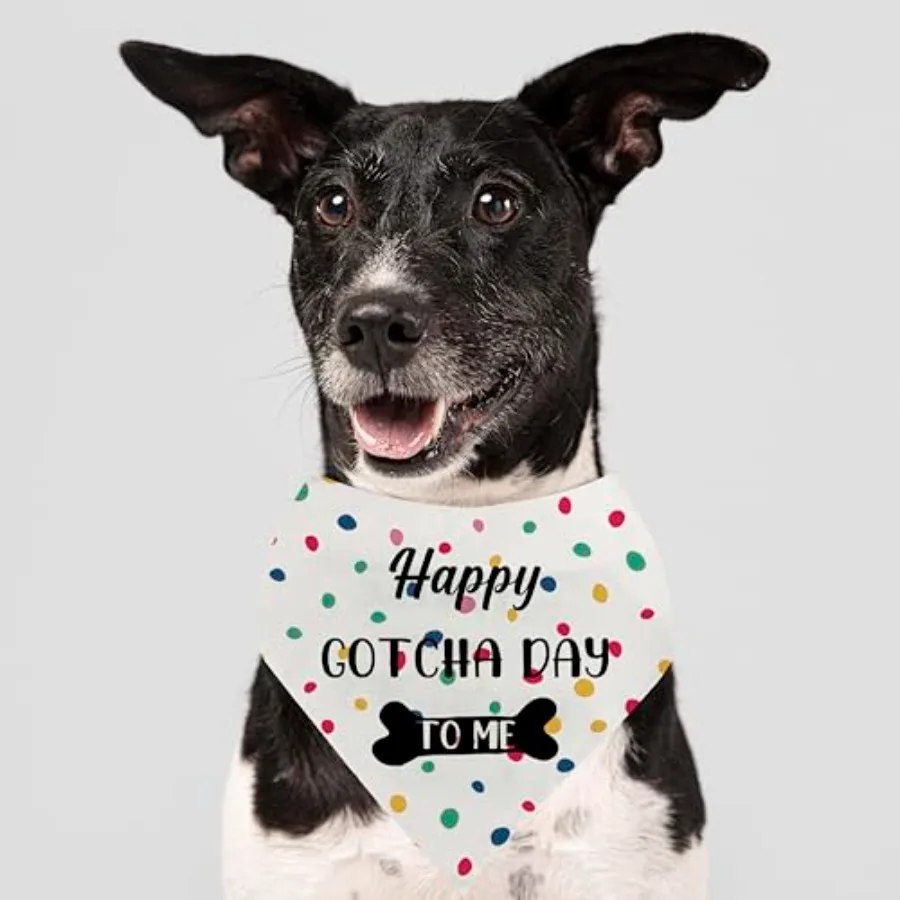 Gotcha Day Dog Banda Happy Gotcha Day to Me Dog Bandas لـ Adoption وشاح للحيوانات الأليفة صور الدعامة للكلاب هدايا عيد الميلاد لـ Adoption