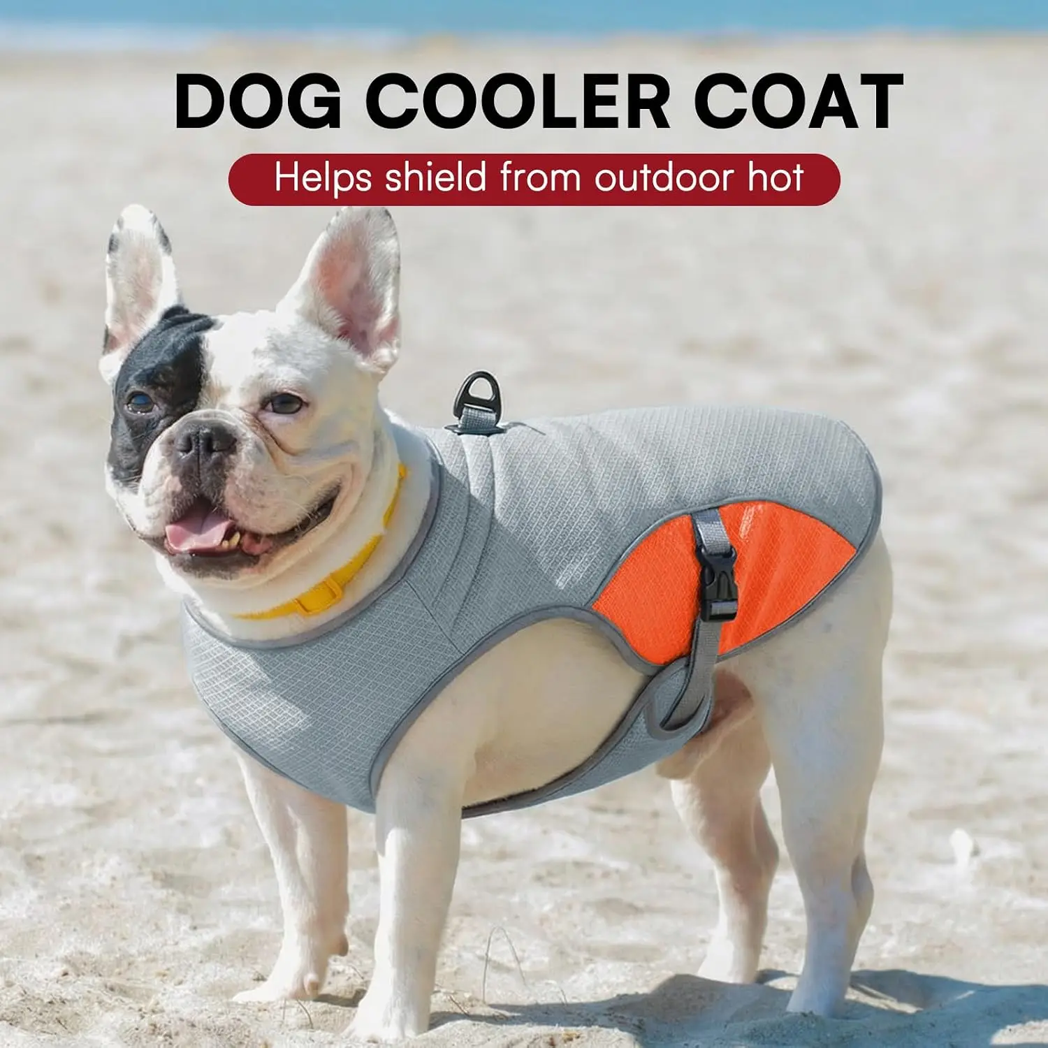 Gilet rafraîchissant pour chien, veste rafraîchissante pour chien avec maille et anneau en D, manteau rafraîchissant pour animaux de compagnie avec