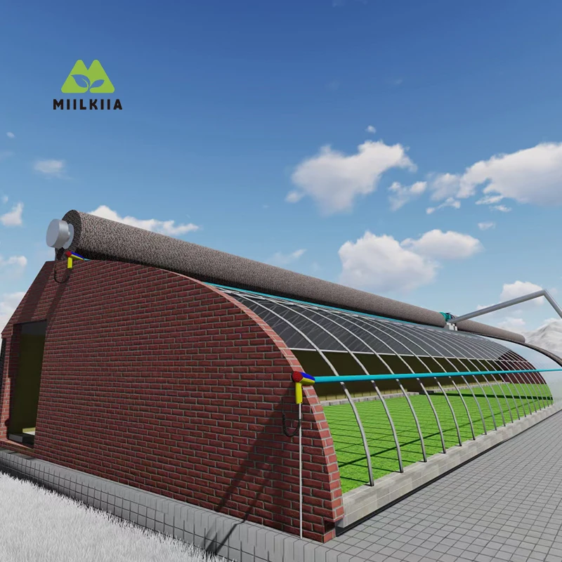 

Sunlight Greenhouse for Cold Climate – Energy-Efficient Solar Greenhouse for Vegetable Farming