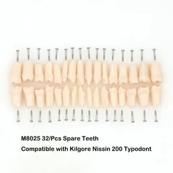 Klgore NISSIN 200-dientes de repuesto tipo 32, dientes de repuesto, modelo Dental Typodont, 32 piezas