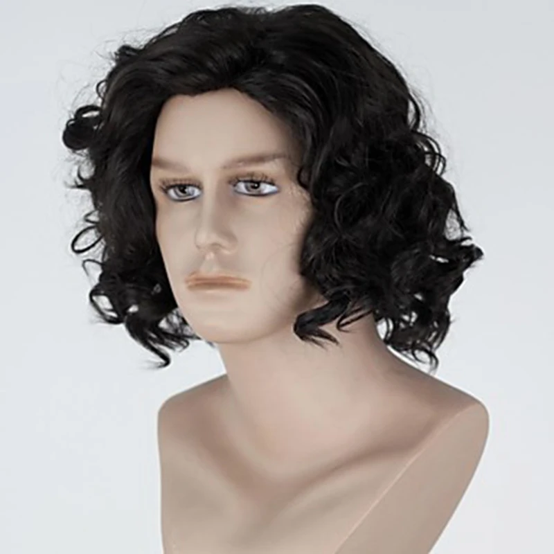 HAIRJOY  Synthetic Hair Wigs  Brown Short Curly Layered Wig  for Men