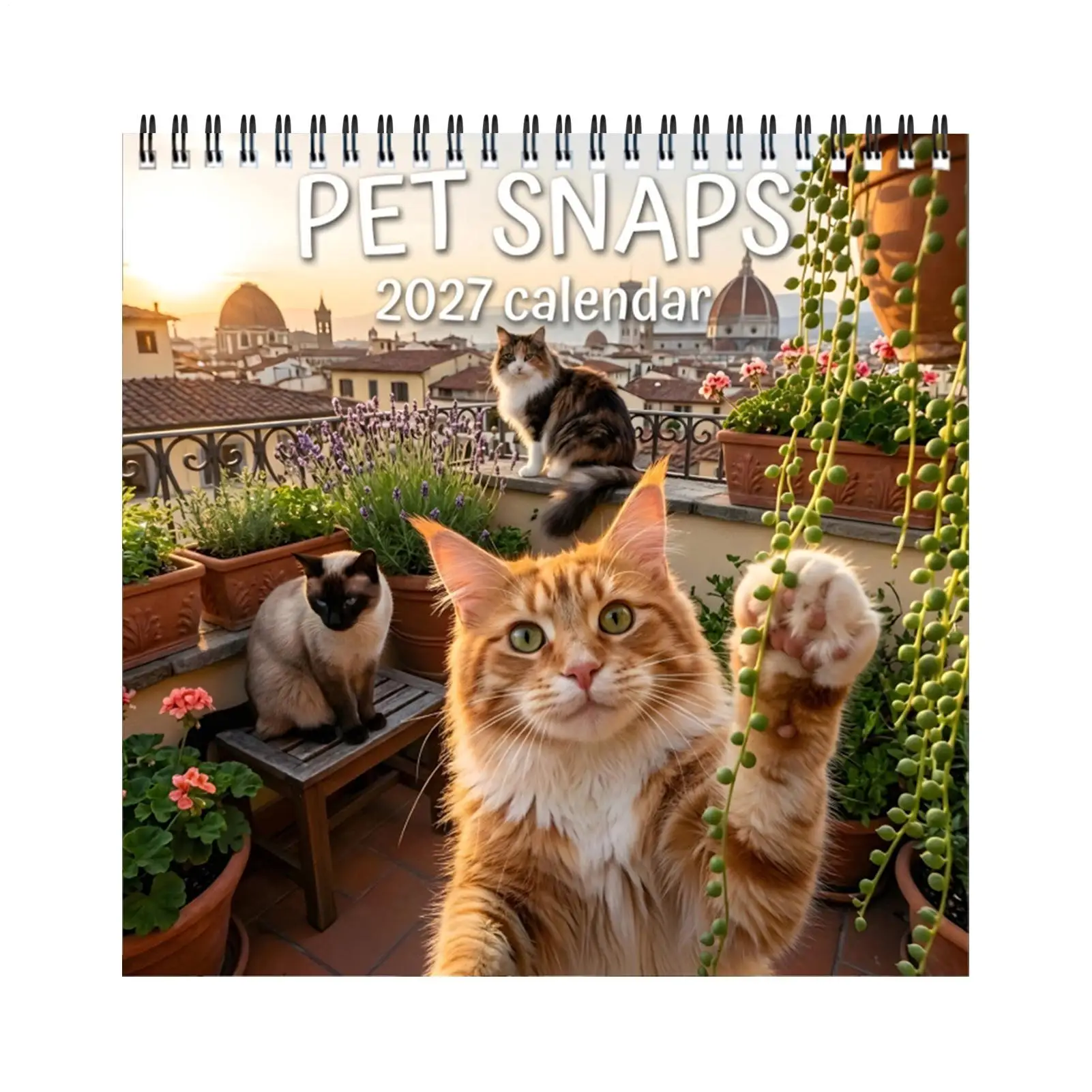 2027 Cat Calendar 12 Month Spiral Binding Animal Planner Cat Family Calendar For Scheduling Organizing Planning Decoration Home