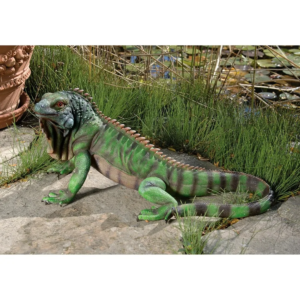 

High Quality Iggy The Iguana Indoor/Outdoor Garden Statue, Large, Cast Stone Resin, Full Color Finish