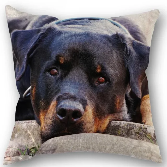 Nowa niestandardowa poszewka na poduszkę PET Rottweiler tkanina bawełniana lniana kwadratowa poszewka na poduszkę z zamkiem błyskawicznym 45X45cm ślubna poszewka dekoracyjna