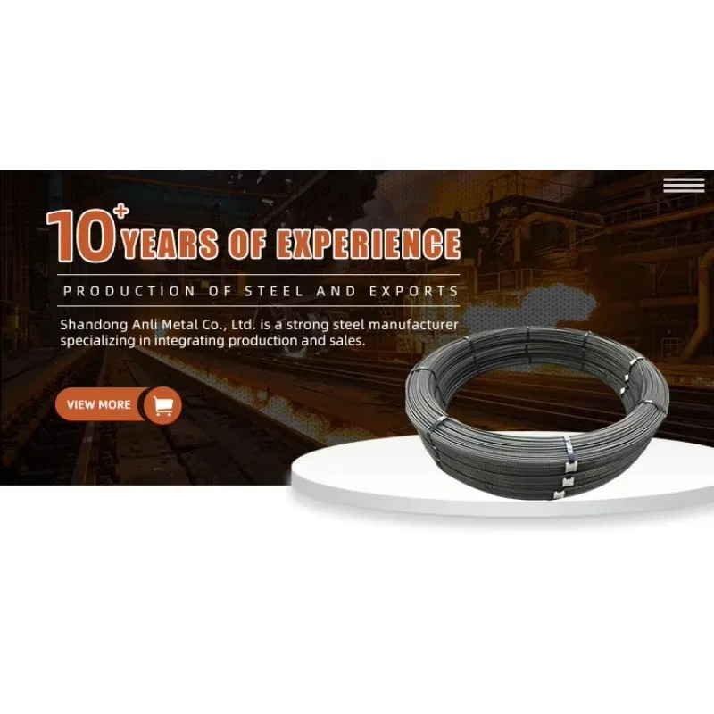 

Factory Wholesale Steel Wire Rope 1X19 1X37 1*7 Electric/Hot Dipped Galvanized Prestressed Steel Strand