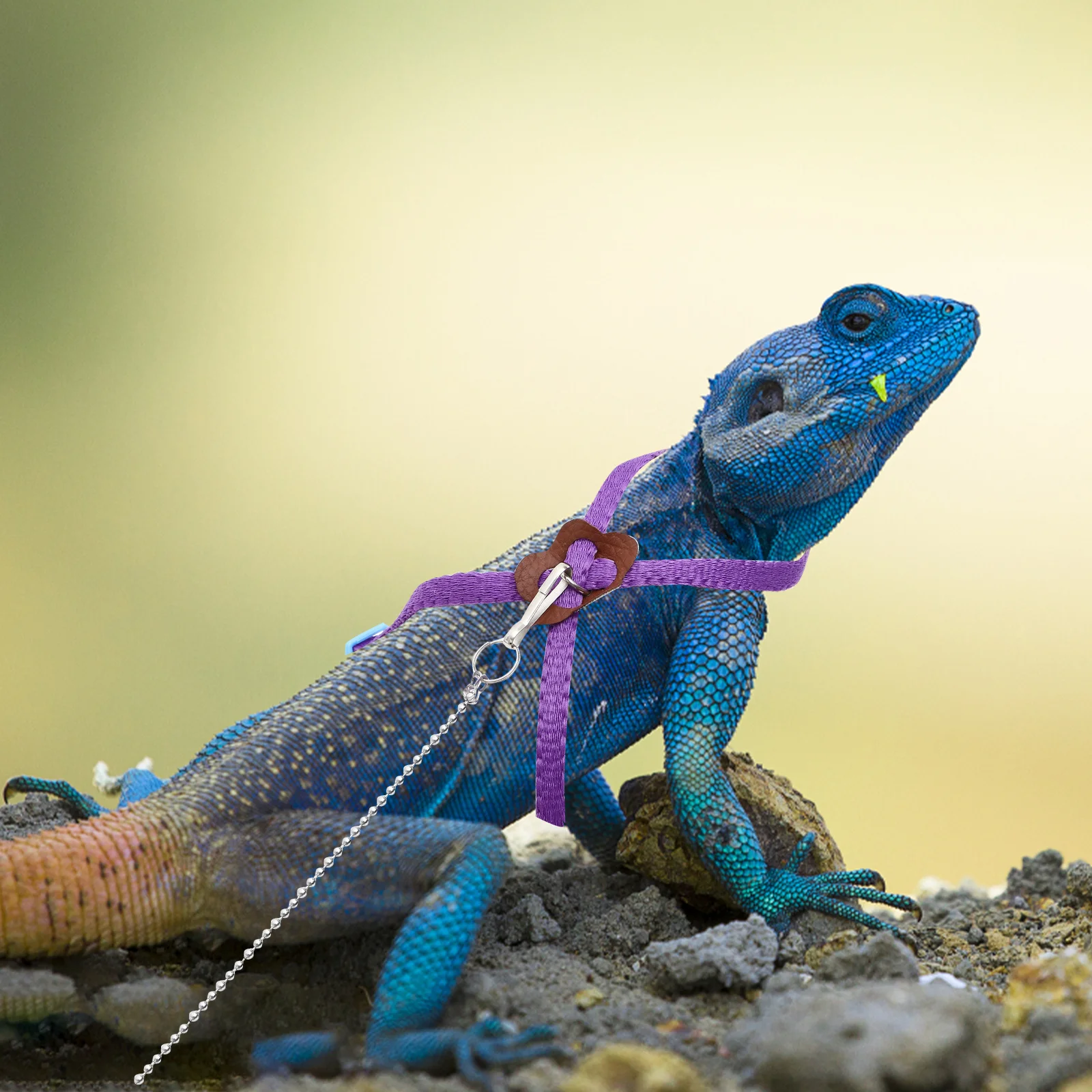 

1.2m Reptile Lizard Harness Leash Adjustable Durable Nylon Metal Clasp Training Walking Outdoor Reptile Harness