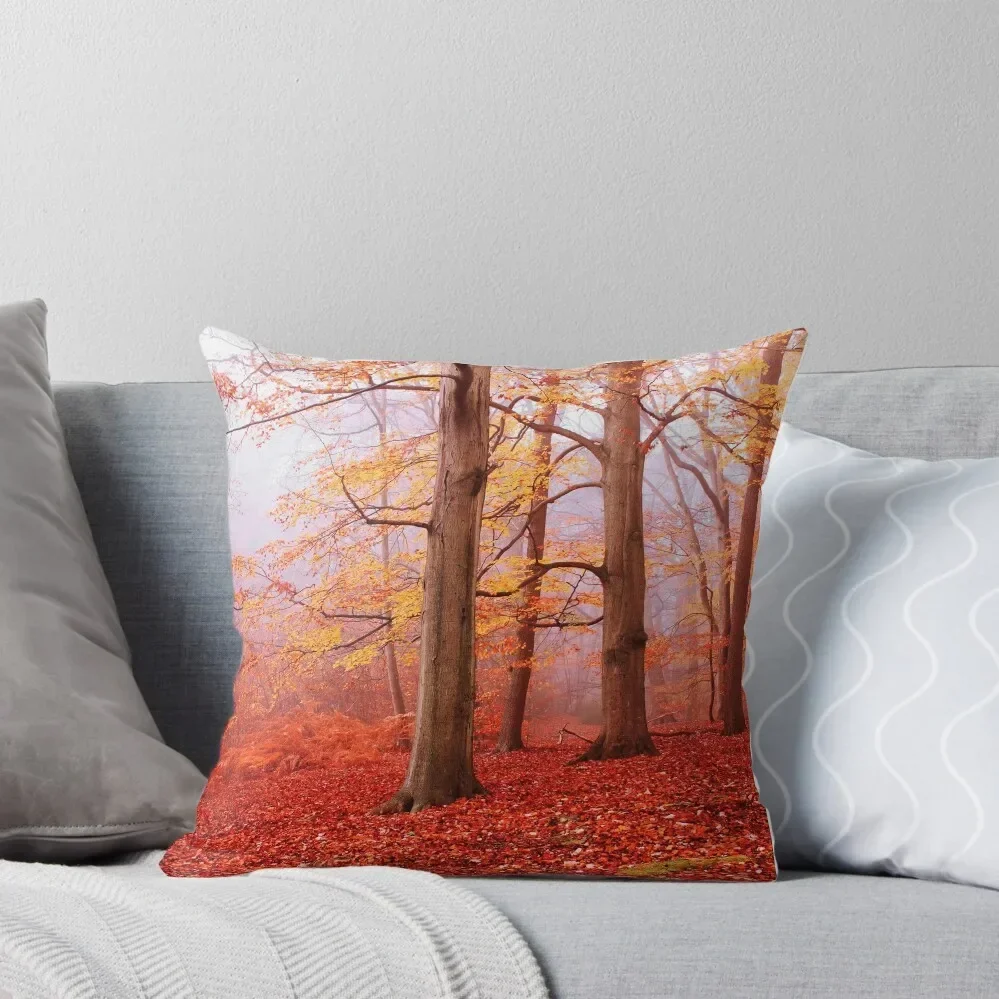 

Burnham Beeches. November Throw Pillow Luxury Pillow Cover Throw Pillow Covers Sofa Cushion Cover