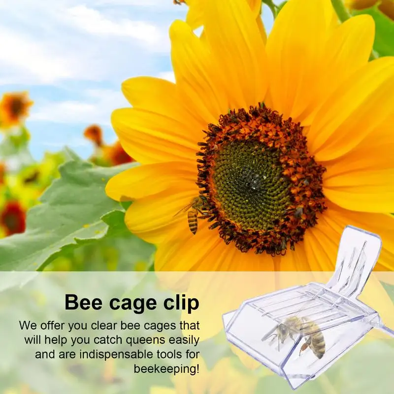 Queen Cage 5 PCS Transparent Queen Catcher Beekeeper Mark Tool Trap Box Marking Catcher For Store And Marking Queen Bees