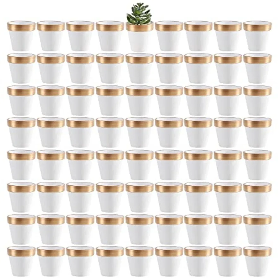 

Набор из 72 миниатюрных белых с золотом глиняных горшков Yishang, 2,5 дюйма, терракотовые керамические кашпо для кактусов и цветов