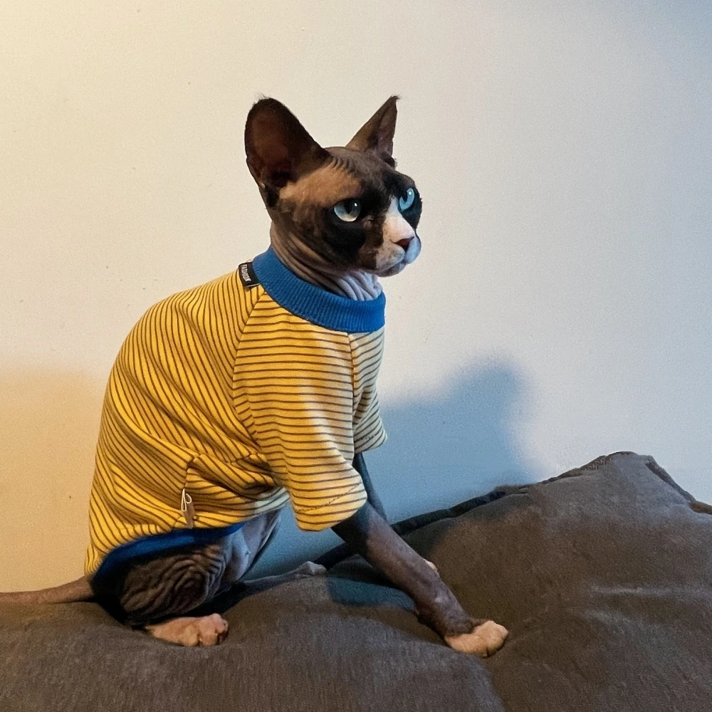 Yellow Striped Long Sleeves Cotton T-shirt for Sphinx Cat in Autumn Kittens Soft Spring Jumpsuit Coat Devon Rex Blue Sweatshirt