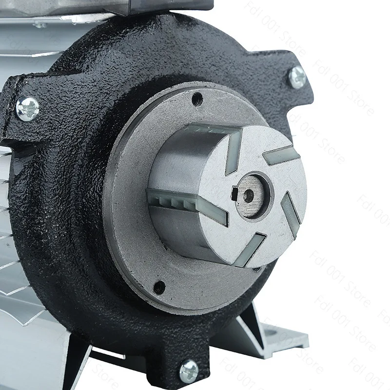 550W Self Priming Fuel Transfer Pump 110V 220V Portable Electric Oil Pump