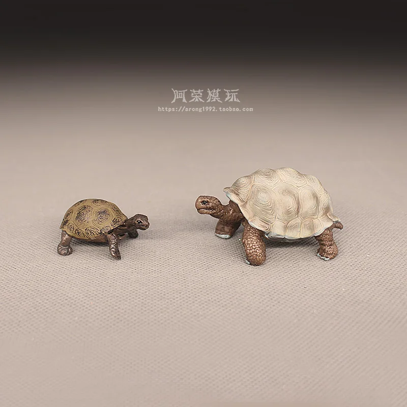 المعرفية التدريس المعونة الزواحف نموذج السلاحف السلحفاة عمل أرقام السلاحف البيض دورة النمو مصغرة حلية الملحقات #3