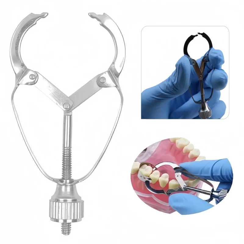 

1pc Dental Forming Sheet Clip Stainless Steel Watercress Forming Sheet Clip Orthodontic Forming Sheet Forceps Dental Instruments