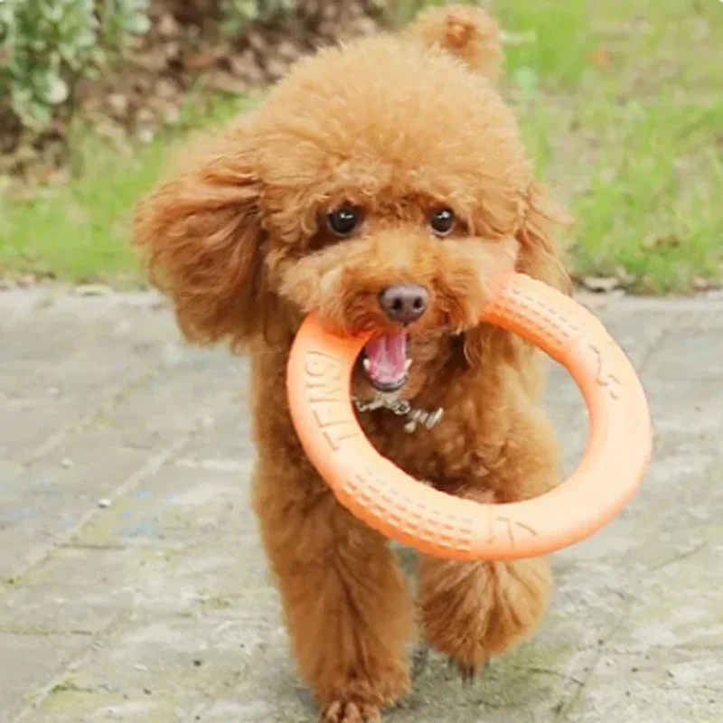 

Orange Dog Toys Pet Flying Disk Training Ring Puller Eva Interactive Training Ring Puller Resistant For Dogs
