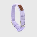 Purple 1