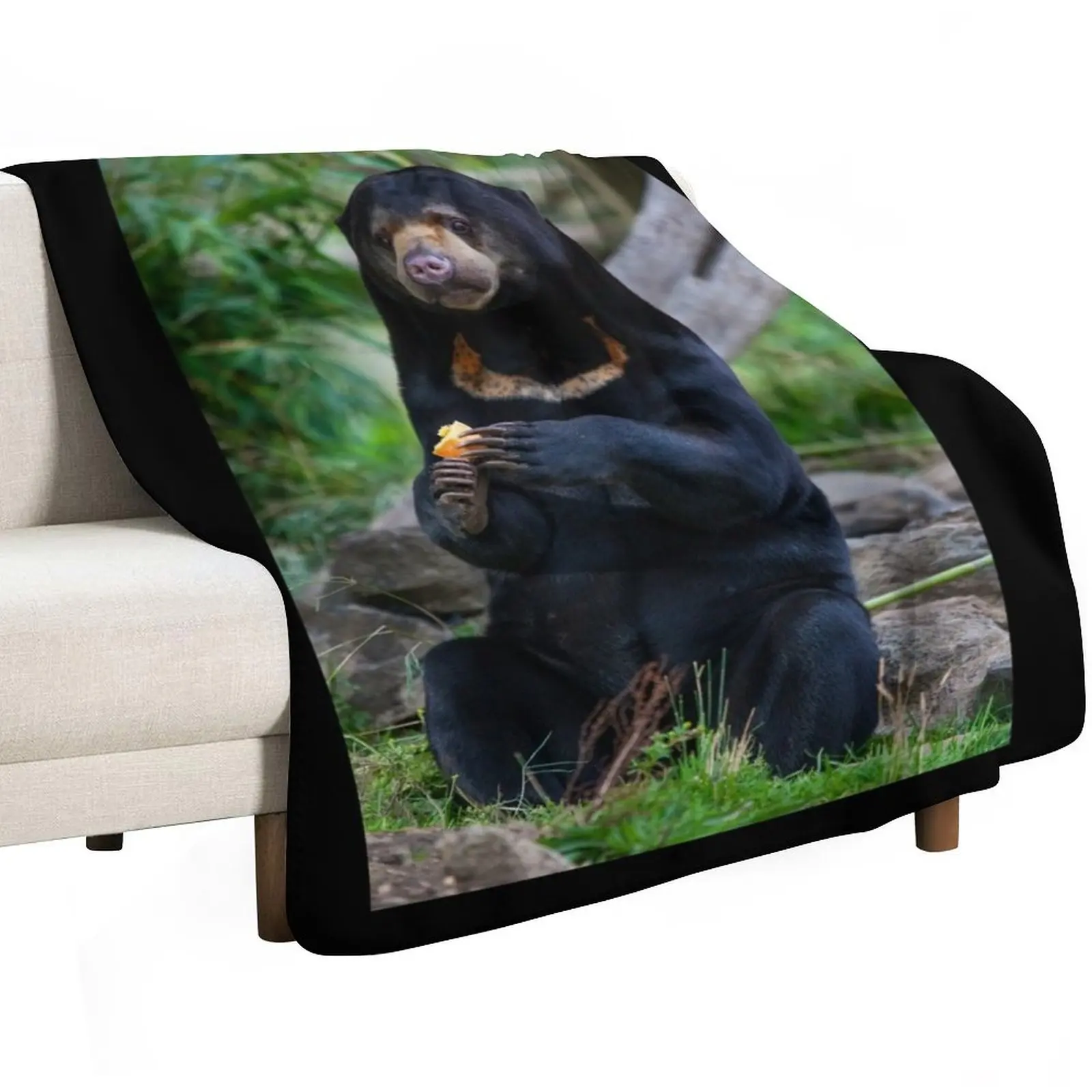 Malayan Sun Bear Contemplating Throw Blanket Decoratives Nap Plush Bed linens Winter beds Thermal Blankets