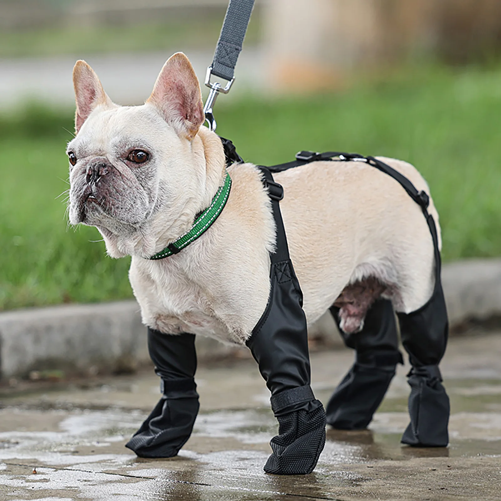 Verstelbare beschermende hondenbroek voor alle weersomstandigheden, hondenpootbeschermer met extra riem, beschermt tegen winterkoude voor honden