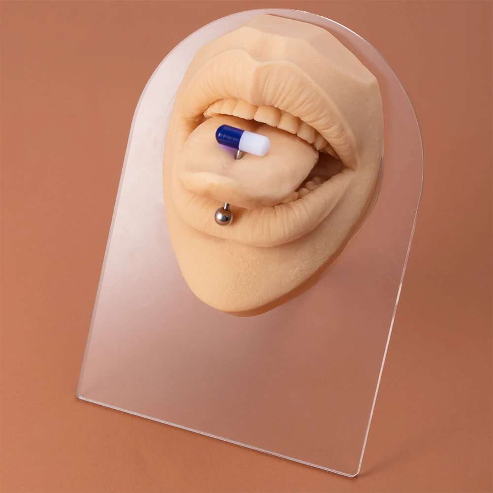 1pc Soft Silicone Mouth Model Displays Simulation For Tongue Piercing Jewelry Display Teaching tool Including Display Stand