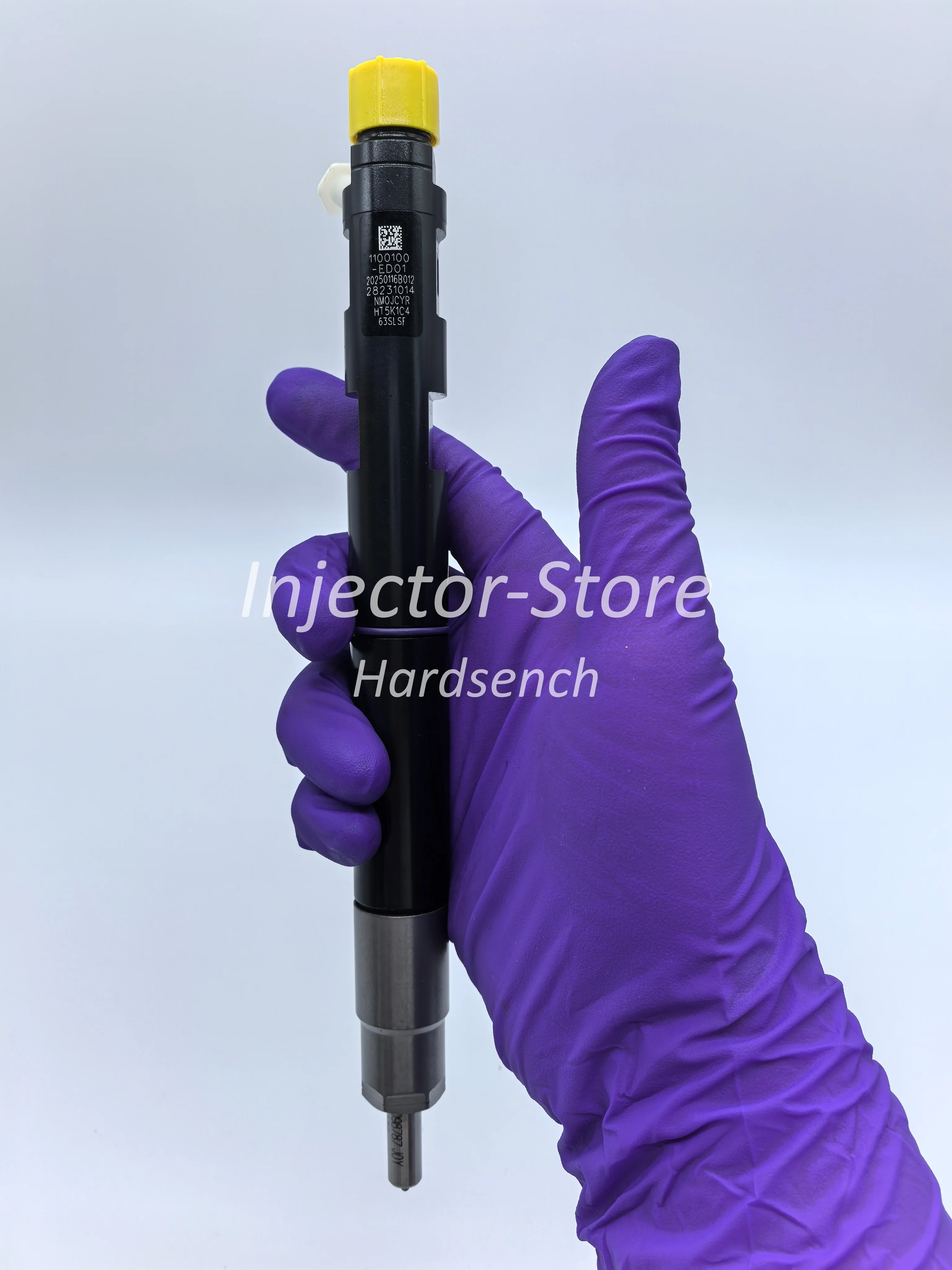 1100100-ED01 DIESEL INJECTOR ASSY 28231014 for Great Wall Hover V200 X200