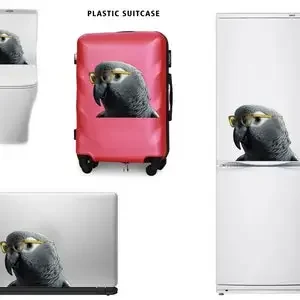 Funny African Gray decal, African Gray magnet, parrot sticker, African Gray art