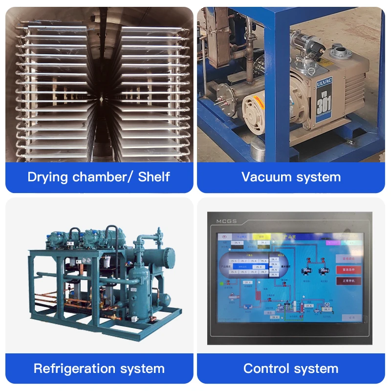 Industriale 2m2 20kg 3m2 30kg 5m2 50kg Laboratorio Liofilizzatore Alimenti per Animali Domestici Frutta Verdura Liofilizzatori Macchina per Liofilizzazione