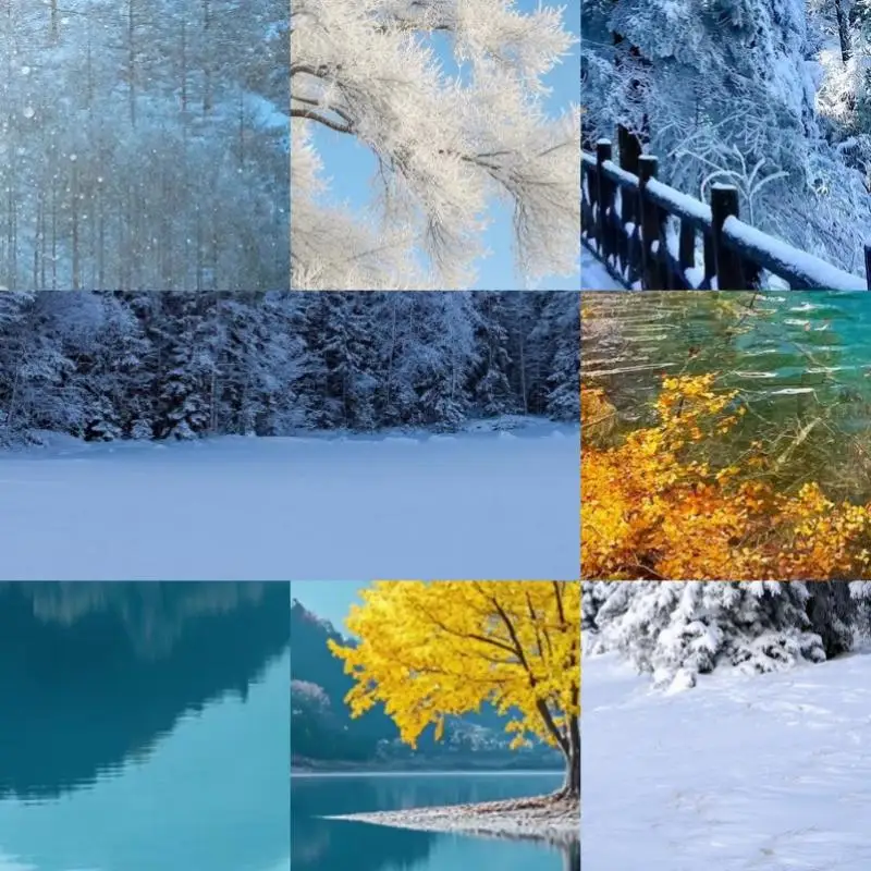 

M.2 NGFF SATA Type C USB 3.1 Hard Disk Box 10Gbps Transparent External SSD Case Hard Disk Case for 2230 2242 2260 2280