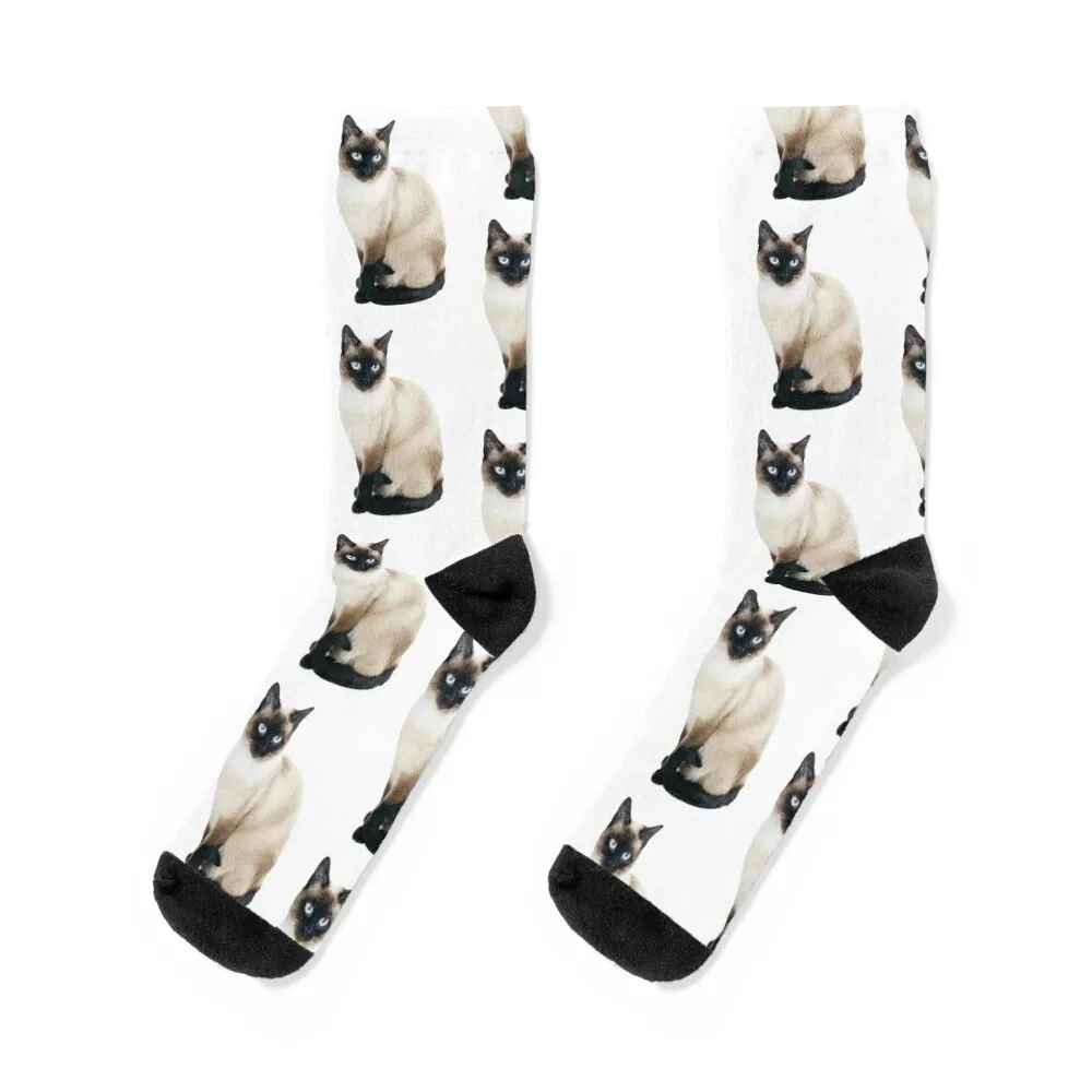 

Siamese Cat Portrait Socks cartoon gym floor Men's Socks Man Women's